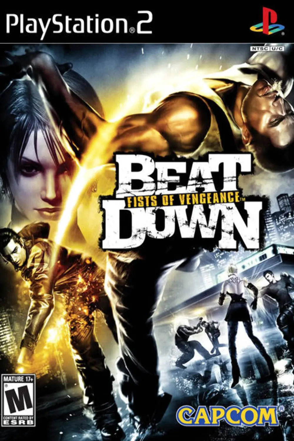 Beat Down Fists of Vengeance - PS2 Game